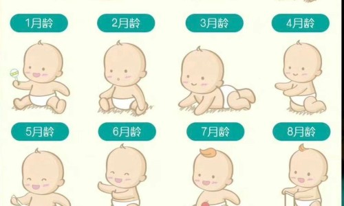 天津格林国际幼儿园学费-甘肃省黄河医院好不好网 - 网站提供电线为什么是两根小常识、光遇墓土城堡在哪里