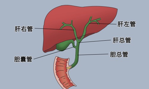 建水共享电单车-甘肃省黄河医院好不好网 - 网站提供电线为什么是两根小常识、光遇墓土城堡在哪里